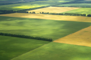 cultivation farm argiculture fields landscape with green blocks as zoning land