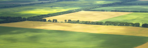 cropped-agriculture-land-image-from-istock-photo-november-2013.jpg