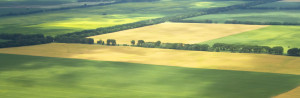 cropped-agriculture-land-image-from-istock-photo-november-2013.jpg