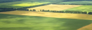 cropped-agriculture-land-image-from-istock-photo-november-20132.jpg